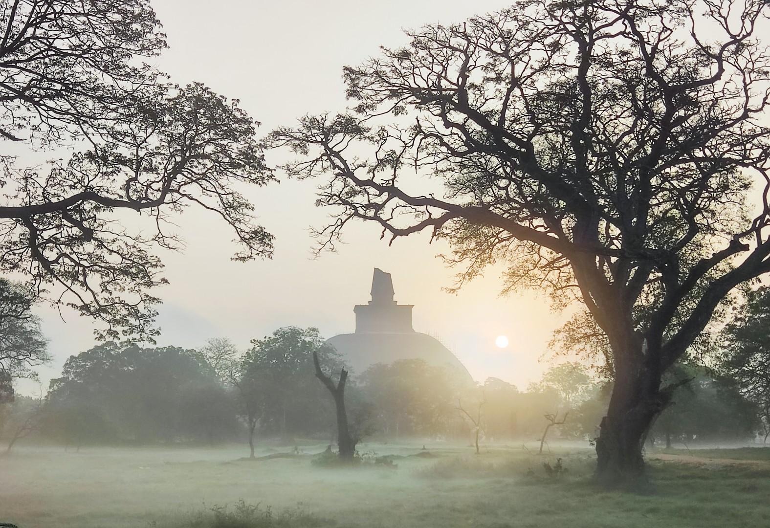 Anuradhapura Day Tour